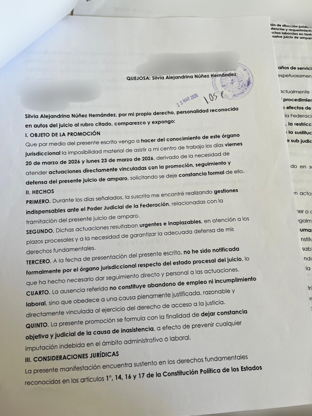 Polish_20260325_141056501