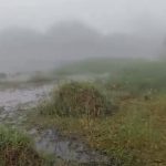 Screenshot_20260309_121439_X