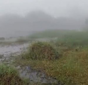 Screenshot_20260309_121439_X