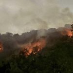 Screenshot_20260317_115130_Chrome