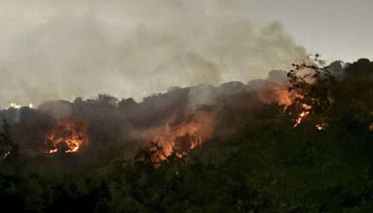 Screenshot_20260317_115130_Chrome