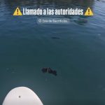 Screenshot_20260323_170331_Chrome