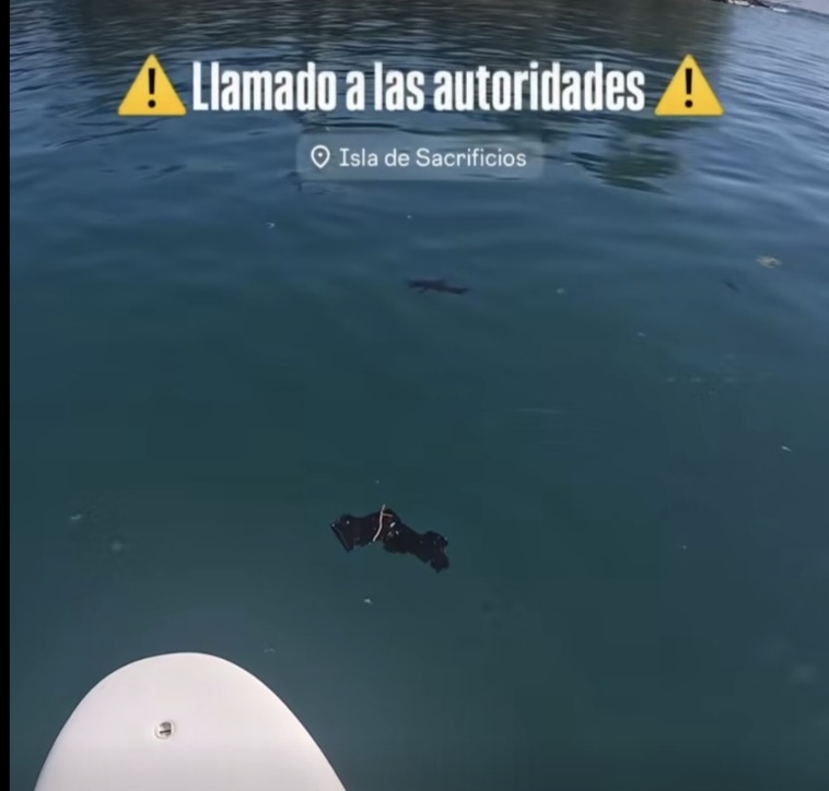 Screenshot_20260323_170331_Chrome