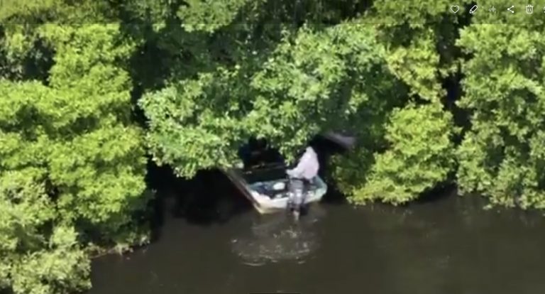 Screenshot_20260324_173614_Gallery