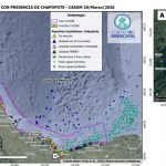 Screenshot_20260325_115540_Chrome