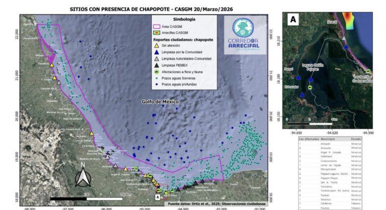 Screenshot_20260325_115540_Chrome