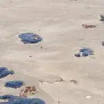 contaminacin-por-petrleo-en-las-playas-de-antn-liz