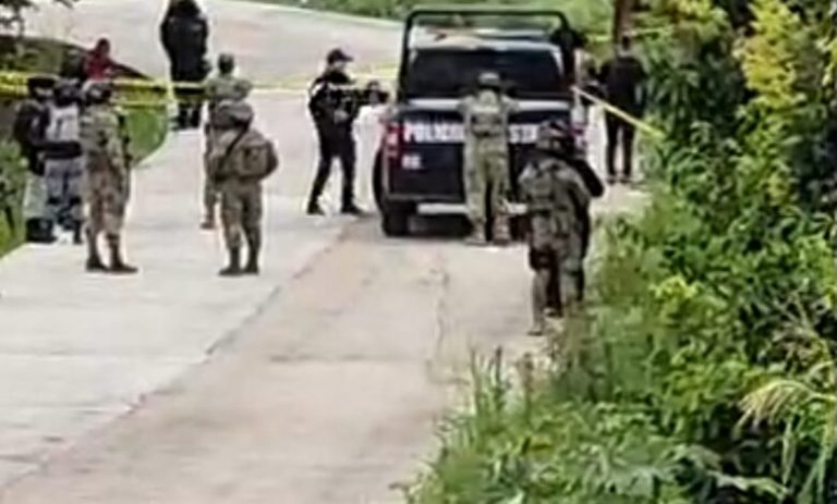 el-´palmar2-780x470