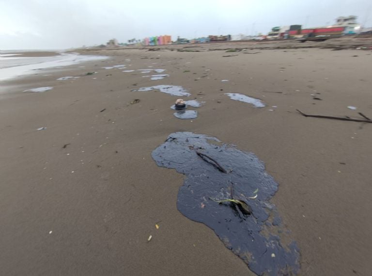 f768x1-471352_471479_29