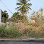 file_0000000033d871f5b42fb9ef401e75a5