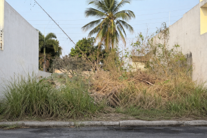 file_0000000033d871f5b42fb9ef401e75a5