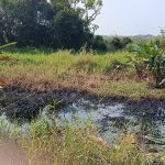 fuga_de_crudo_genera_alerta_en_minatitlan_y_deja_3_menores_con_nauseas_1