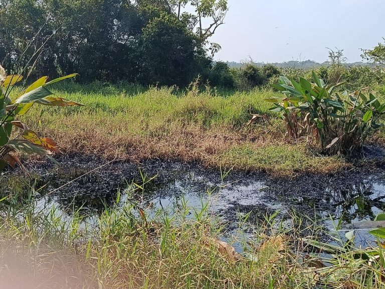 fuga_de_crudo_genera_alerta_en_minatitlan_y_deja_3_menores_con_nauseas_1