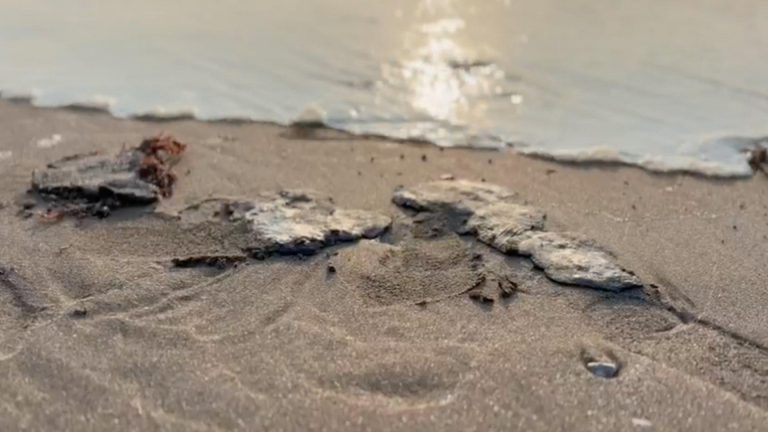 hidrocarburo-playa-Chachalacas-Ursulo-Galvan-Veracruz