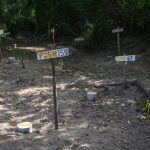 pdp_colinasdesantafe_veracruz_08082019_victoriarazo0