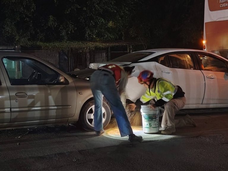 3026d2e3-64f3-45e7-a509-0eeb7c923765