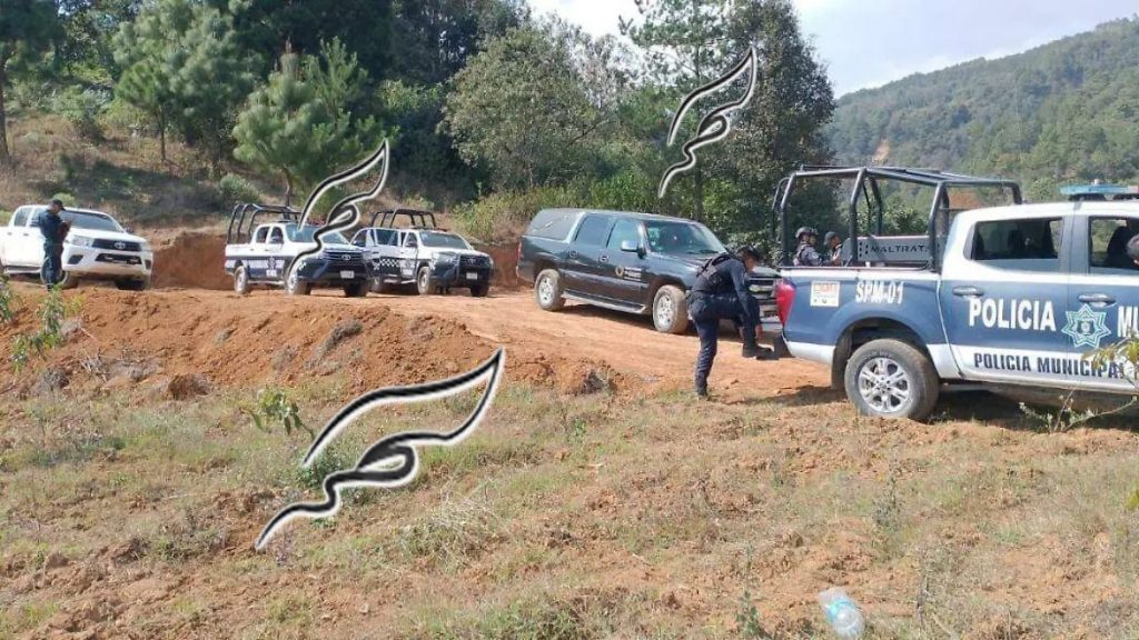 532adf31-d422-4af7-852d-23c9303b8506