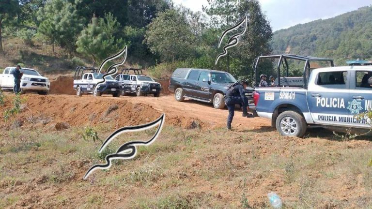 532adf31-d422-4af7-852d-23c9303b8506