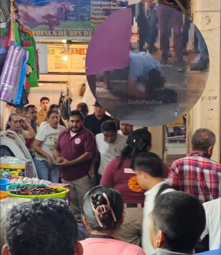 669053842_972321115151778_1847668538070620546_n (1)