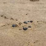 718884af-362f-4fd3-9f33-e72888a6a820