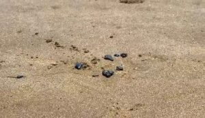 718884af-362f-4fd3-9f33-e72888a6a820