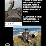 FB_IMG_1775173497970