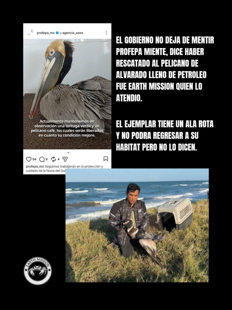 FB_IMG_1775173497970