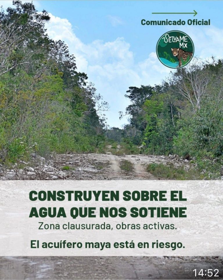 FB_IMG_1775241373852