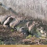 FB_IMG_1776967984854