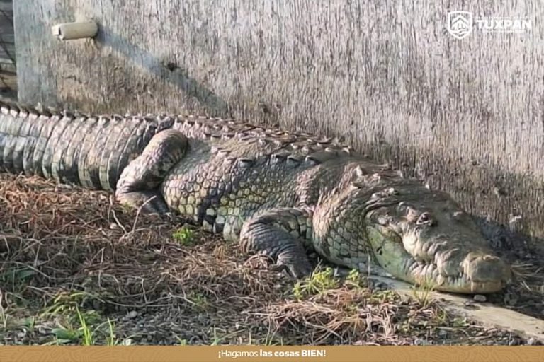 FB_IMG_1776967984854