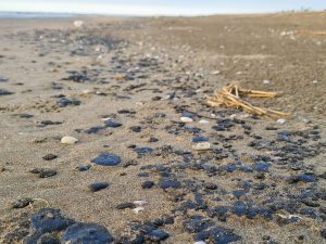 IY6UWLUJRFAWRKEUNMHXSR77ZU