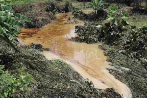 Lluvias-provocan-arrastre-de-hidrocarburos-en-Poza-Rica-y-Coatzintla-Veracruz-Pemex-despliega-operativo_3