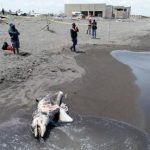 RZ4M7VVWIFNU5F3UXSL7M57NHM