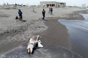 RZ4M7VVWIFNU5F3UXSL7M57NHM