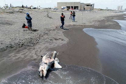 RZ4M7VVWIFNU5F3UXSL7M57NHM