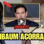 Screenshot_20260428_100910_WhatsApp