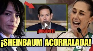 Screenshot_20260428_100910_WhatsApp