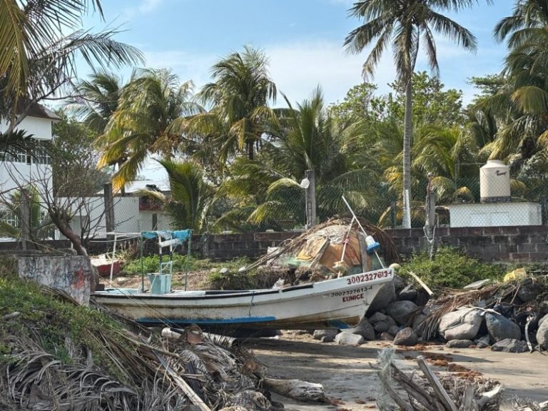 a9382e71-b5ca-4d29-8598-3945fd54d5e6