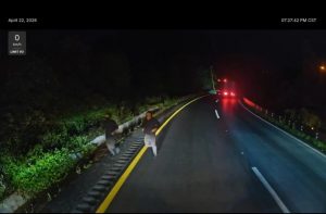 c1a020c3-bd14-40b2-9485-23378e3f6e1d