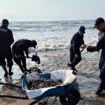 marina-limpieza-golfo-de-mexico