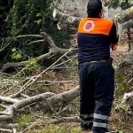 tornado_en_tierra_blanca_derriba_-rboles_y_techos_de_viviendas_-2-.png_1025562229