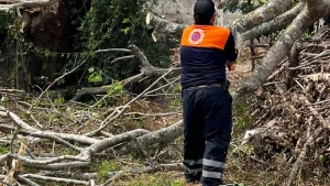 tornado_en_tierra_blanca_derriba_-rboles_y_techos_de_viviendas_-2-.png_1025562229