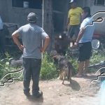 586478df-1d49-4d9d-96fb-e36642f4df67
