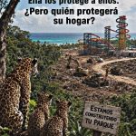 FB_IMG_1779229582548