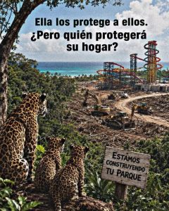 FB_IMG_1779229582548
