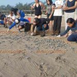 110134tortuguitas1