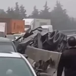 1421377xeu20260608164621