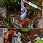 desechoscaeairelibre-1078x516