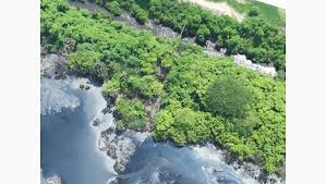 images (3)