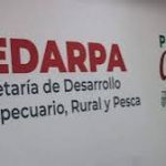 images (4)